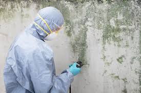 Best Residential Mold Inspection & Testing  in North Pearsall, TX